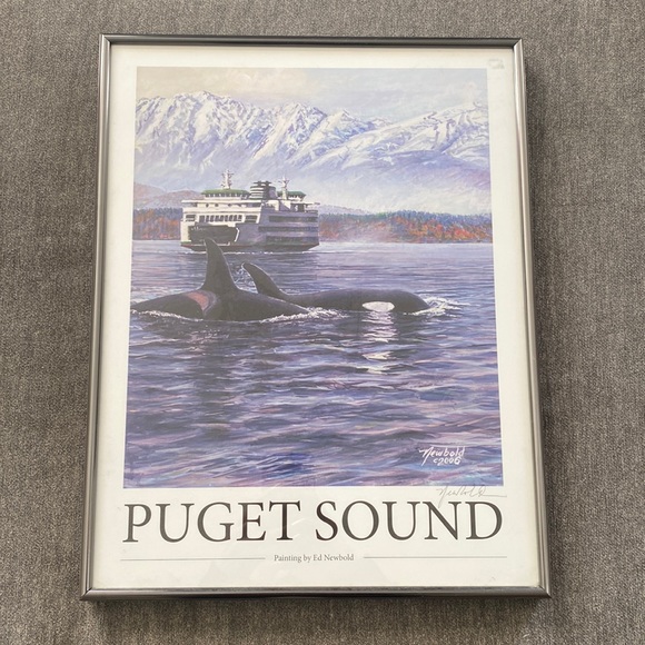 Puget Sound Whale Orca Painting by Ed Newbold - Picture 1 of 3
